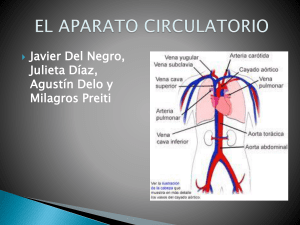Sistema circulatorio - Nuestra Señora del Refugio