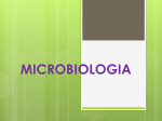 clase-microorganismos-2