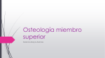 Osteología miembro superior