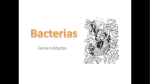 microbiologia-04-bacterias