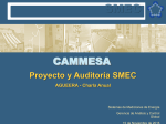 smec-_proyecto_de_medicion_-auditorias