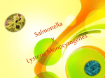Salmonella - FCQ-InocuidadeAlimentos