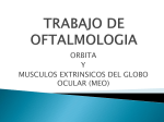 TRABALHO DE OFTAMOLOGIA