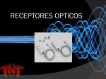 Receptores Digitales - Comunicaciones Opticas