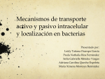 Mecanismos de transporte activo y pasivo intracelular y