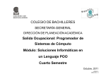 Soluciones_Informaticas_en_Lenguaje_POO