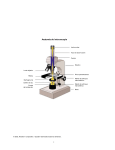 Anatomía del microscopio