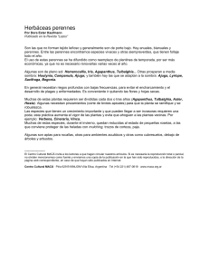 Herbáceas perennes Por Dora Ester Kaufmann Publicado en la