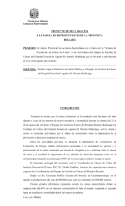 proyecto de declaración