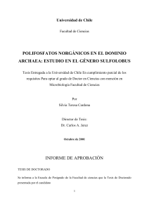 4. El gen ppx de S. solfataricus - Tesis U. de Chile