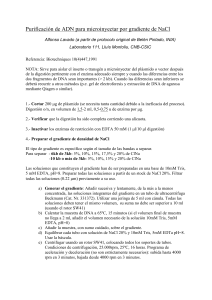 Laboratorio 111, Lluís Montoliu, CNB-CSIC