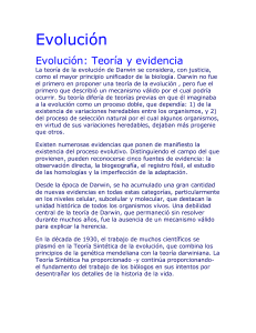 Evolución - TrabajoPracticoEESN7
