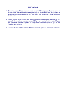 FLOTACION