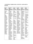 taxonomia verbos area cognitiva