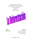 La Deforestación