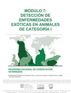 Detección de enfermedades exóticas en animales de la Categoría I