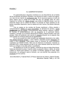 prueba 7 - castellacongres