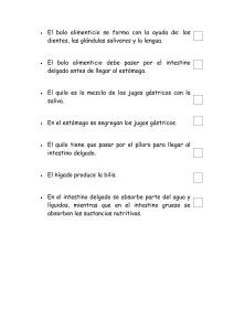 digestión - PHP Webquest