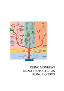 reinos - WordPress.com