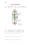Las plantas - WordPress.com