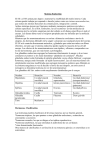 Sistema endocrino - bologiayanatomia