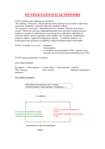sn vegetativo o aut&oacute;nomo