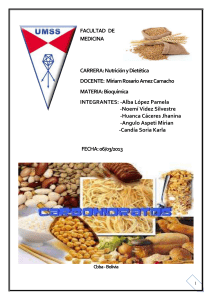 Cbba - Bolivia CARBOHIDRATOS