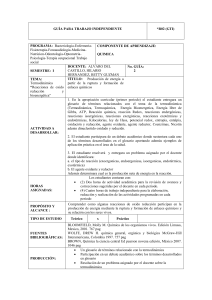 GUÍA PARA TRABAJO INDEPENDIENTE