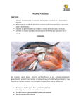 Pescados-y-mariscos 2-2015 (5756503)