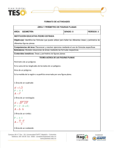 formato de actividades