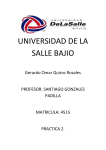 UNIVERSIDAD DE LA SALLE BAJIO Gerardo Omar Quiroz Rosales