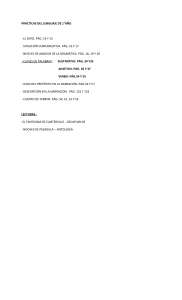 PRÁCTICAS DEL LENGUAJE DE 1°AÑO