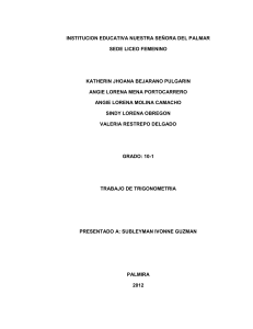 INSTITUCION EDUCATIVA NUESTRA SEÑORA DEL PALMAR