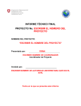 PRIDCA Formato Informe técnico Final