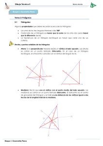 Tema 2 Polígonos
