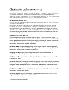 Circulación en los seres vivos