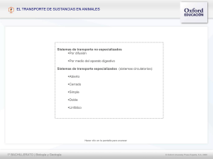 yZLq.Aparato circulatorio animales [Oxford]