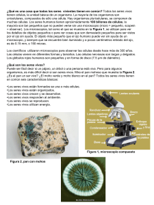 Diapositiva 1 - WordPress.com