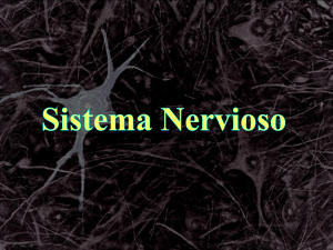 Propiedades Generales del Sistema Nervioso