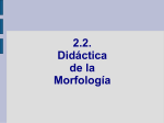 2.2.1. Morfología