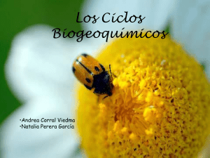 Los Ciclos Biogeoquímicos