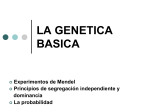Genética - WordPress.com