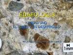 edafología - jolbenm30