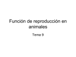 Función de reproducción en animales