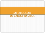 METABOLISMO DE CARBOHIDRATOS