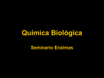 Química Biológica Seminario Enzimas