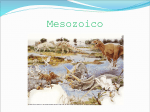 Mesozoico - BioMecoWiki