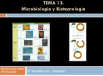 Diapositiva 1 - IES MURIEDAS. Departamento de Biologia y Geologia