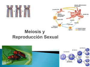 Regents Biology - Ms. Marcos` Biology Wiki
