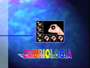 Embriología II - Biología y Quimica